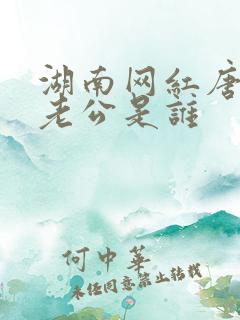 湖南网红唐艺的老公是谁