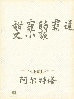 甜宠的霸道总裁文小说