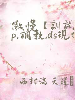 傲慢【训诫,sp,调教,ds现代家奴