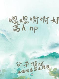 嗯嗯啊啊好爽啊 高h np