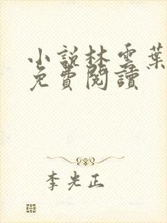 小说林云叶婉清免费阅读