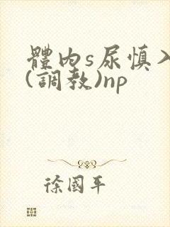 体内s尿慎入h(调教)np