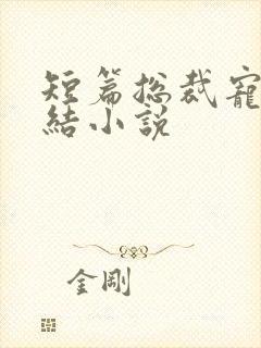 短篇总裁宠文完结小说