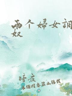 两个妇女调教男奴