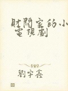财阀家的小儿子 电视剧