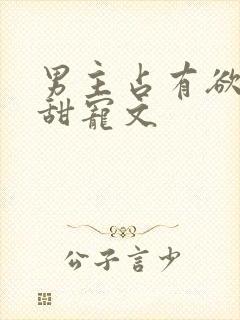 男主占有欲强的甜宠文