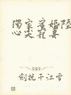 独家蜜婚陆少的心尖宠妻