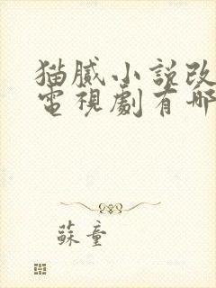 猫腻小说改编的电视剧有哪些