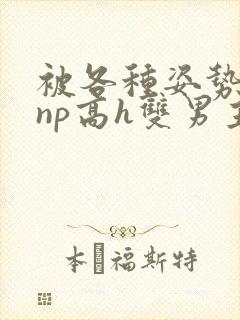 被各种姿势玩弄np高h双男主s