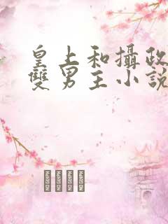 皇上和摄政王的双男主小说