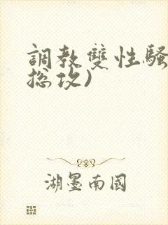 调教双性骚货(总攻)