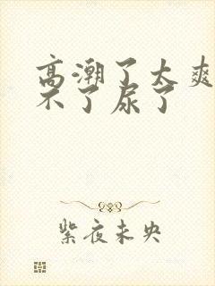 高潮了太爽了受不了尿了