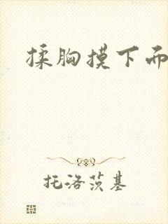揉胸摸下面小说