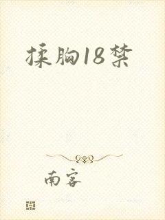 揉胸18禁