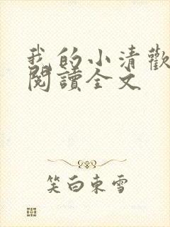 我的小清欢在线阅读全文