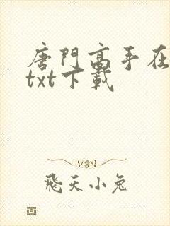 唐门高手在异世txt下载