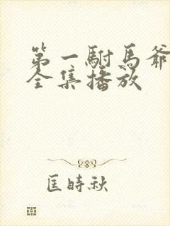 第一驸马爷短剧全集播放