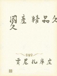 国产 精品久久久