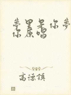 梦里是你梦外是你原唱