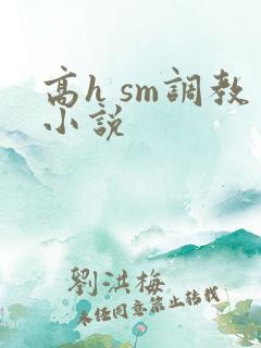 高h sm调教小说