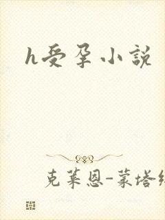 h受孕小说