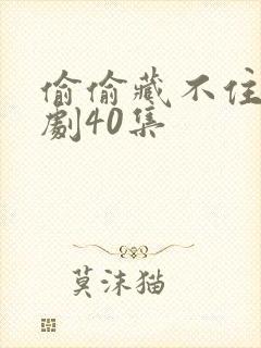 偷偷藏不住电视剧40集