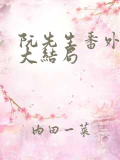 阮先生番外五篇大结局