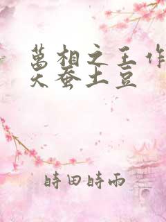 万相之王作者:天蚕土豆