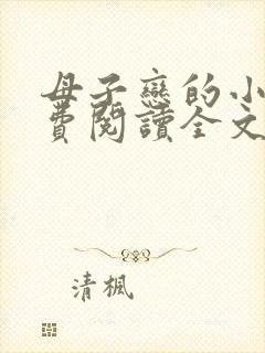 母子恋的小说免费阅读全文