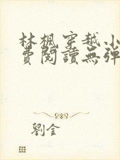 林枫穿越小说免费阅读无弹窗