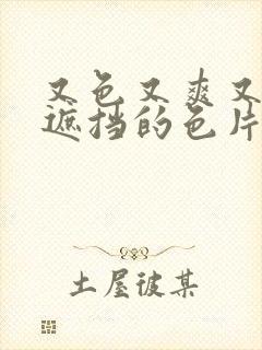 又色又爽又黄无遮挡的色片