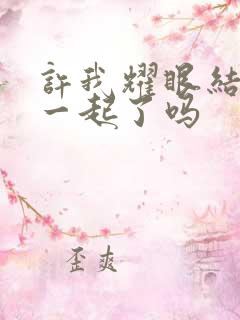 许我耀眼结局在一起了吗