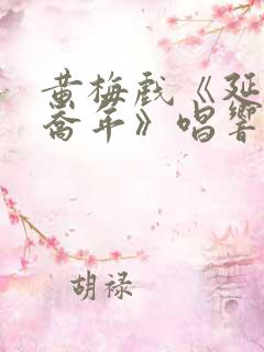 黄梅戏《延年和乔年》唱响