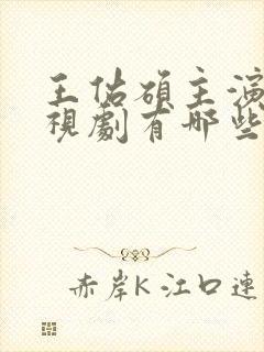 王佑硕主演的电视剧有哪些