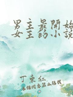 男主最开始讨厌女主的小说