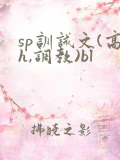 sp训诫文(高h,调教)bl