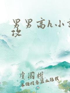 男男高h小说总攻