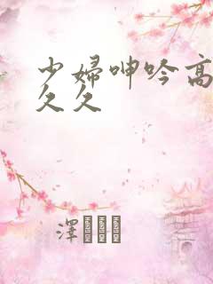 少妇呻吟高潮久久久