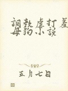 调教虐打羞辱贱母狗小说