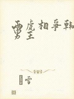 两虎相争韩漫双男主