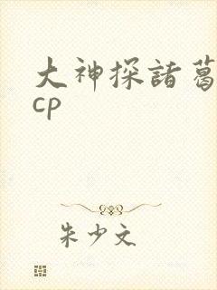 大神探诸葛九九cp