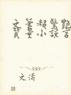 文笔超惊艳的高质量小说言情