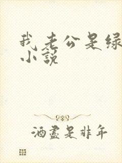 我老公是绿帽奴小说