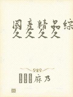 国产精品综合久久久久久