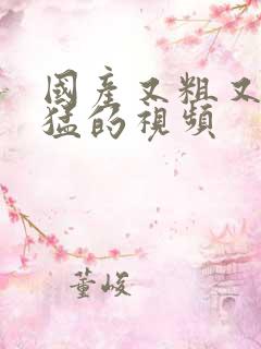 国产又粗又爽又猛的视频