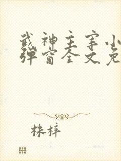 武神主宰小说无弹窗全文免费阅读