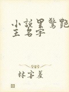 小说里惊艳的女主名字