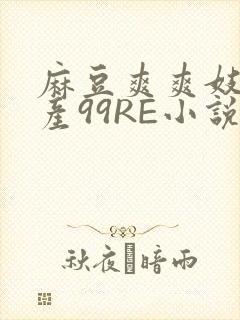 麻豆爽爽妓女国产99RE小说