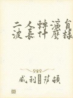 二人转演员张晓波长什么样