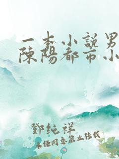 一本小说男主叫陈阳都市小说